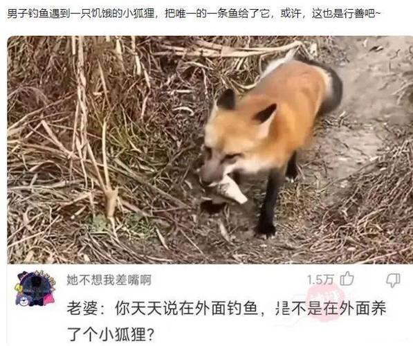《tp钱包转账激活教程》TP钱包下载·(中国)您的通用钱包下载,安全,tp,第1张
