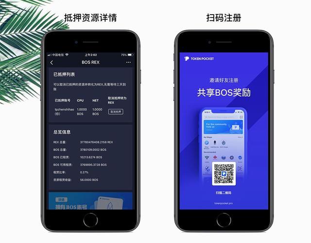 《TP观察钱包可以收款吗》tp钱包正版下载·(中国)您的通用钱包下载,私钥,数字资产,第1张